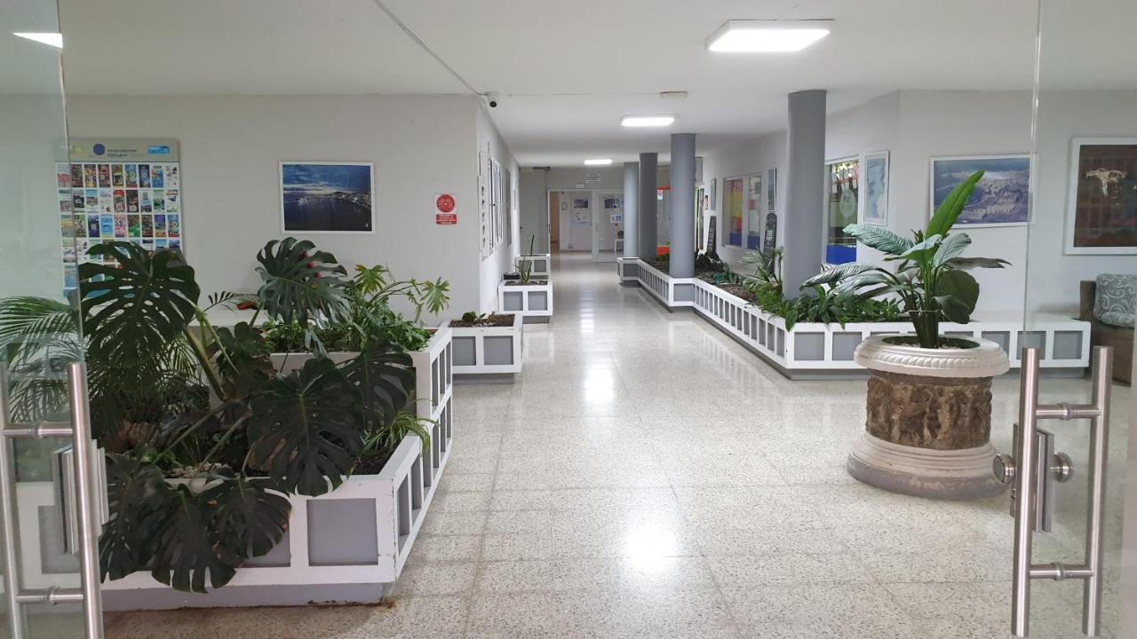 Mirador Apartment Costamar Tenerife Los Cristianos  Exterior foto